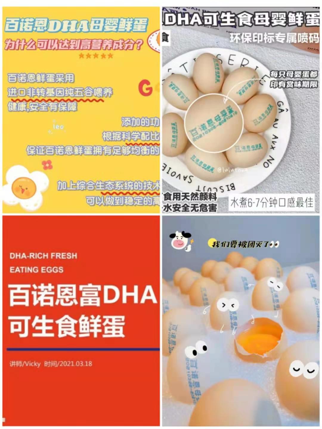 百诺恩dha母婴鲜蛋有什么功效和作用有说明书吗创始人小霞